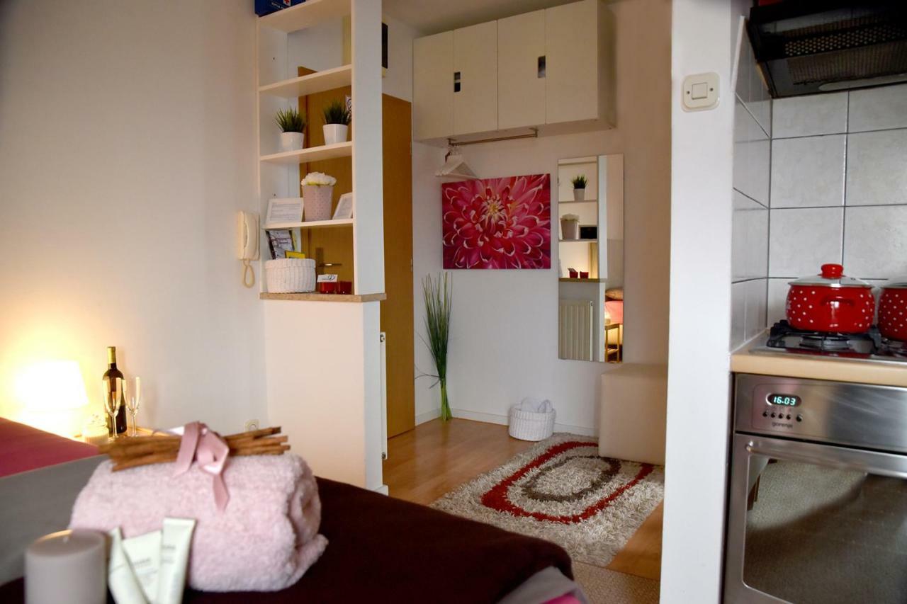 Studio Apartman D Apartment Sesvete Luaran gambar